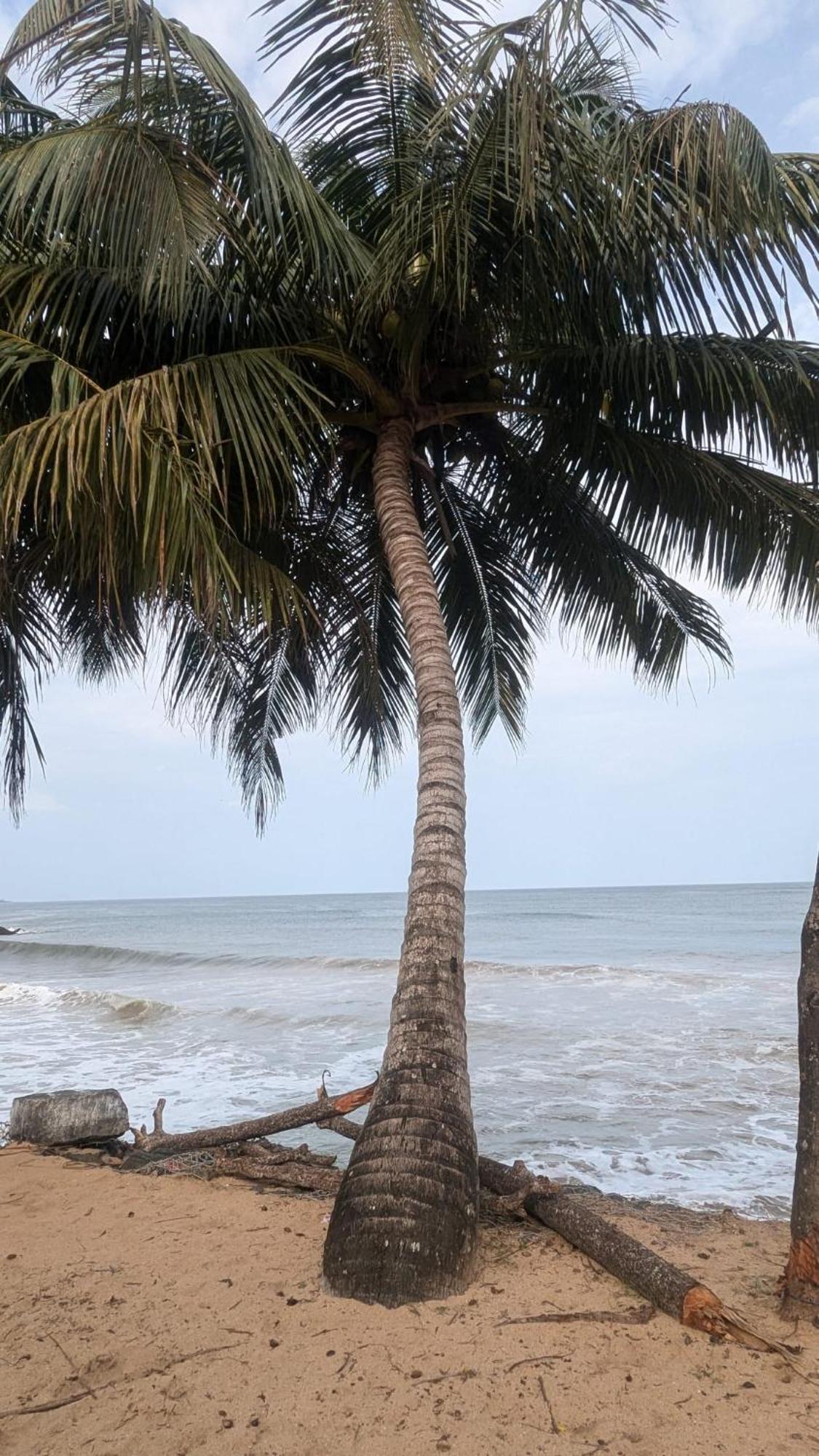 Chandi Gaya Beach Guesthouse Tangalle Εξωτερικό φωτογραφία